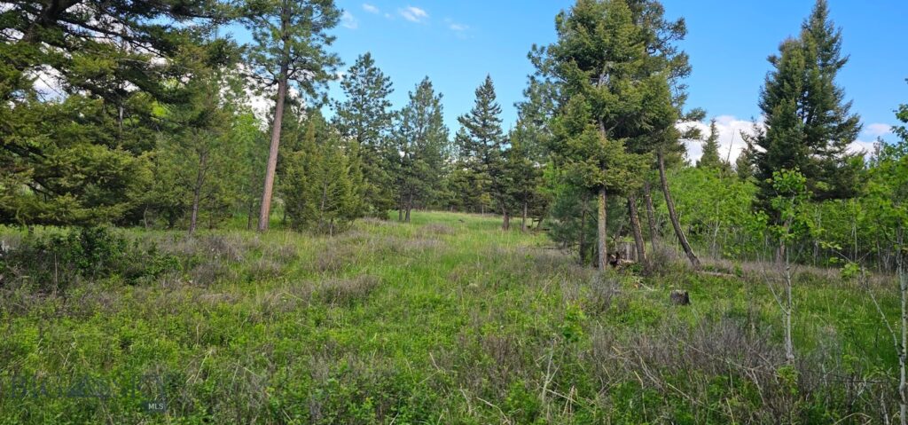 11 Tract, Hall Creek, Helmville MT 59843