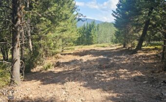 11 Tract, Hall Creek, Helmville MT 59843