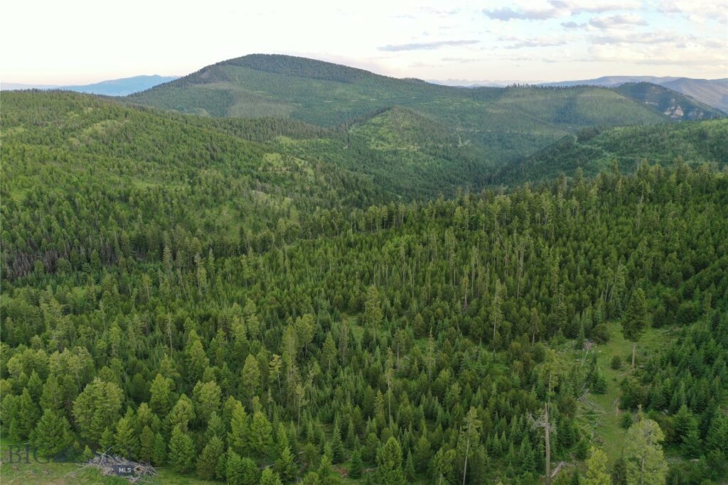 11 Tract, Garnet Range, Drummond MT 59832