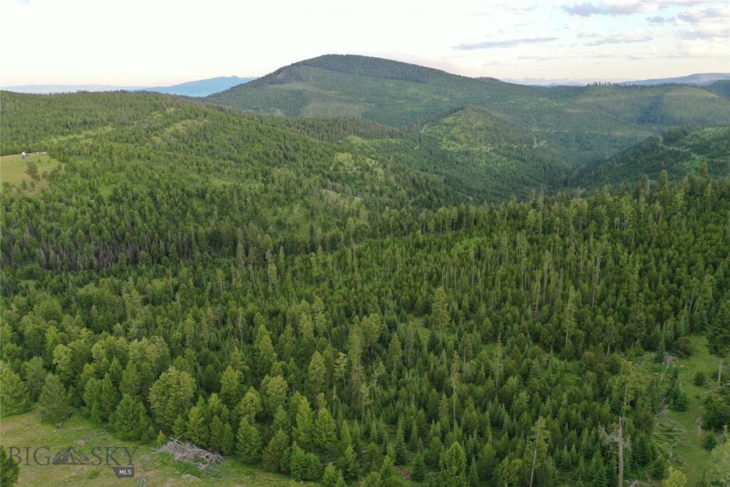 11 Tract, Garnet Range, Drummond MT 59832