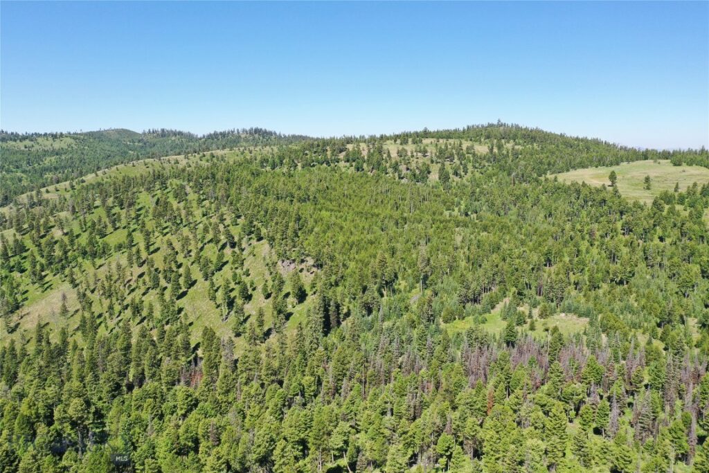 11 Tract, Garnet Range, Drummond MT 59832