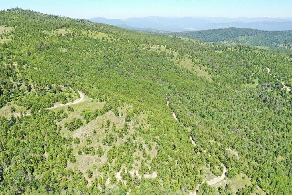 11 Tract, Garnet Range, Drummond MT 59832
