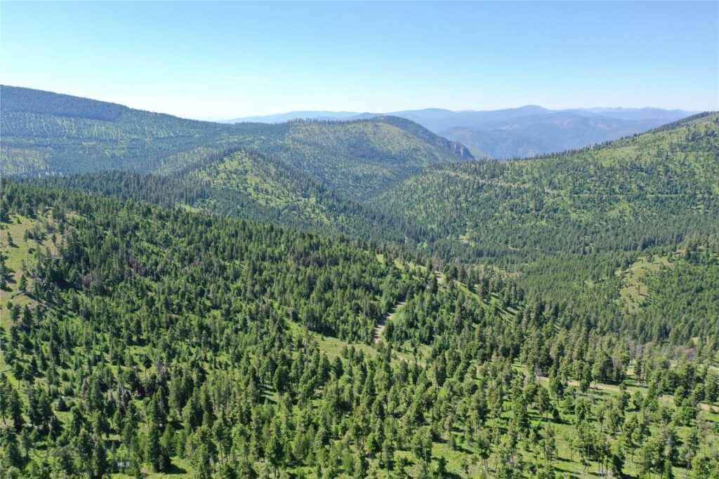 11,12 Garnet Range, Drummond MT 59832