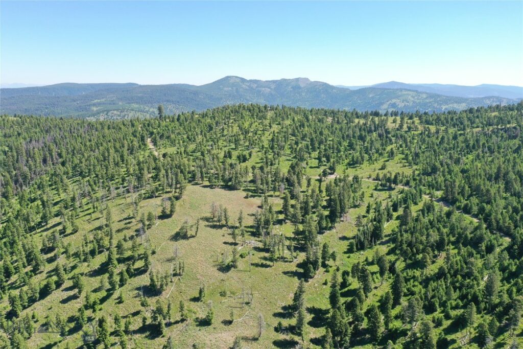 11,12 Garnet Range, Drummond MT 59832