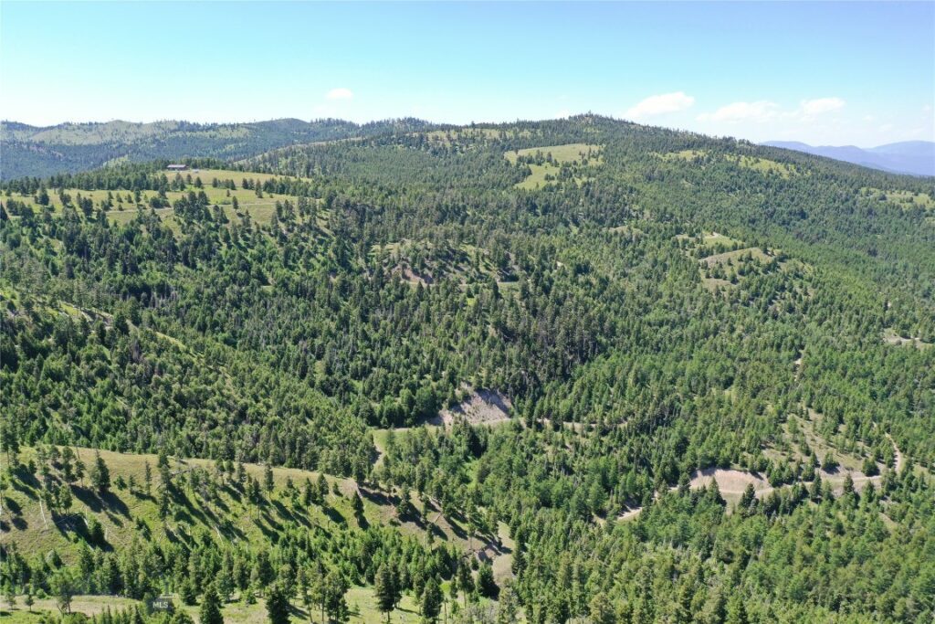 11,12 Garnet Range, Drummond MT 59832