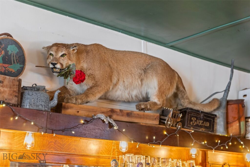 118 & 118 1/2 W Wallace Street, Virginia City MT 59755