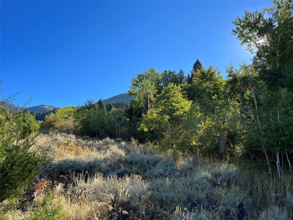 11900 Corbly Gulch Road, Belgrade MT 59714