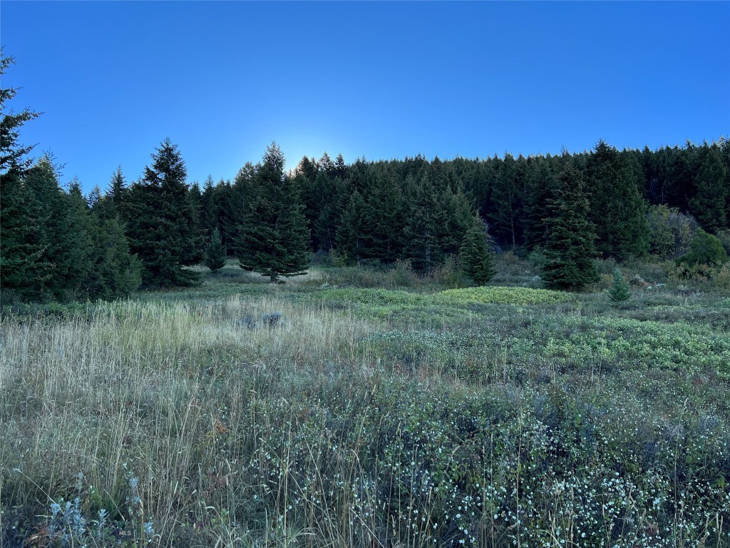 11900 Corbly Gulch Road, Belgrade MT 59714