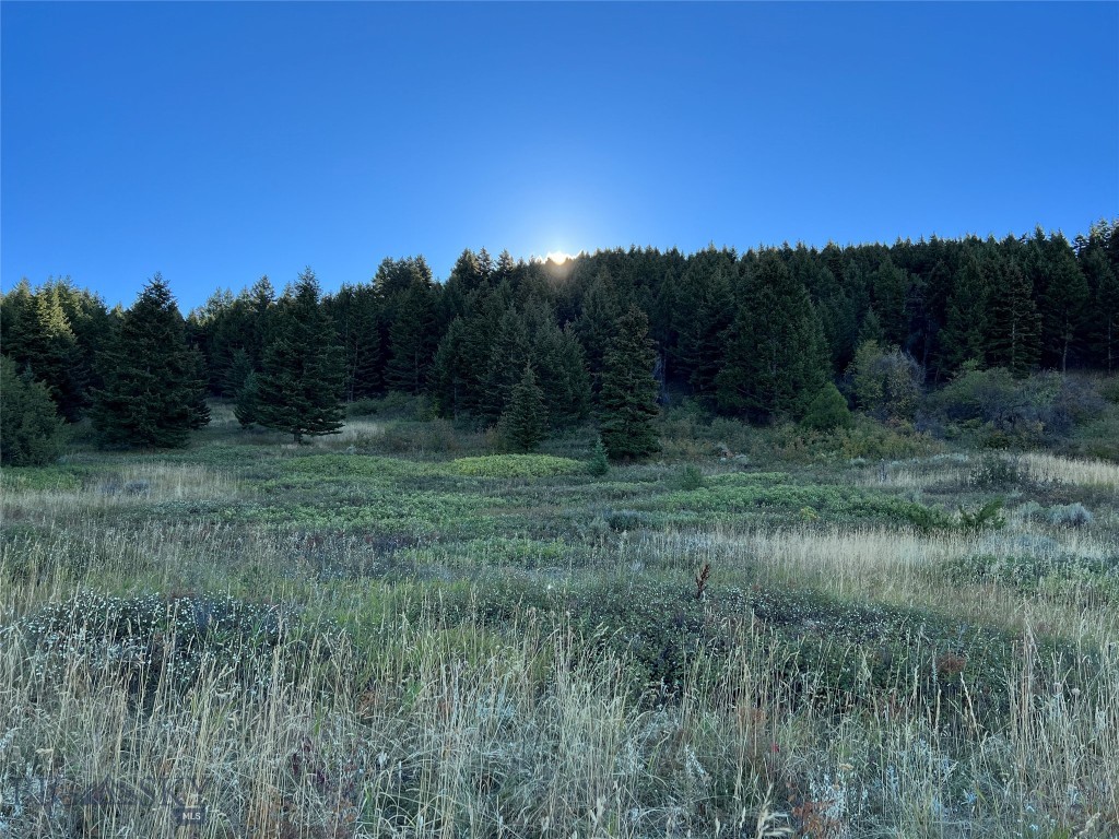 11900 Corbly Gulch Road, Belgrade MT 59714