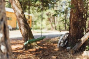 Livingston MT 59047 - 21