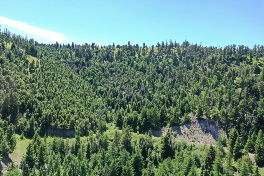 13 Tract, Garnet Range, Drummond MT 59832