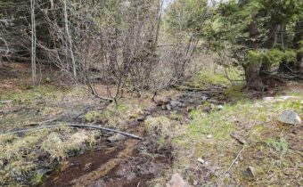 13 Tract, Garnet Range, Drummond MT 59832
