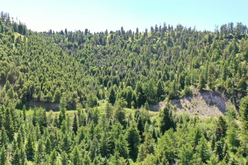 13 Tract, Garnet Range, Drummond MT 59832