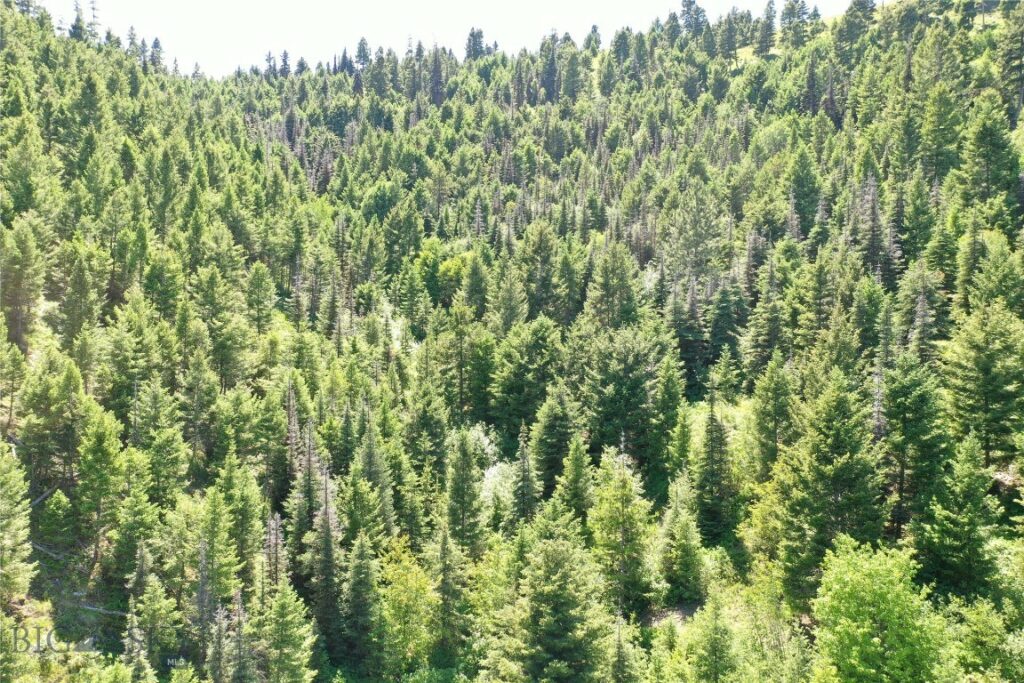 13 Tract, Garnet Range, Drummond MT 59832