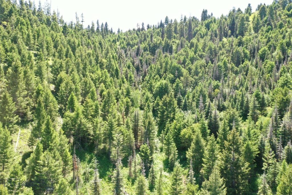 13 Tract, Garnet Range, Drummond MT 59832