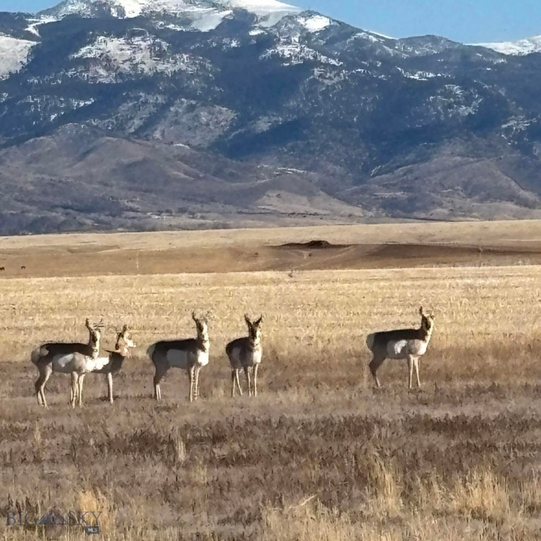 130 Lariat Lane, Dillon MT 59725