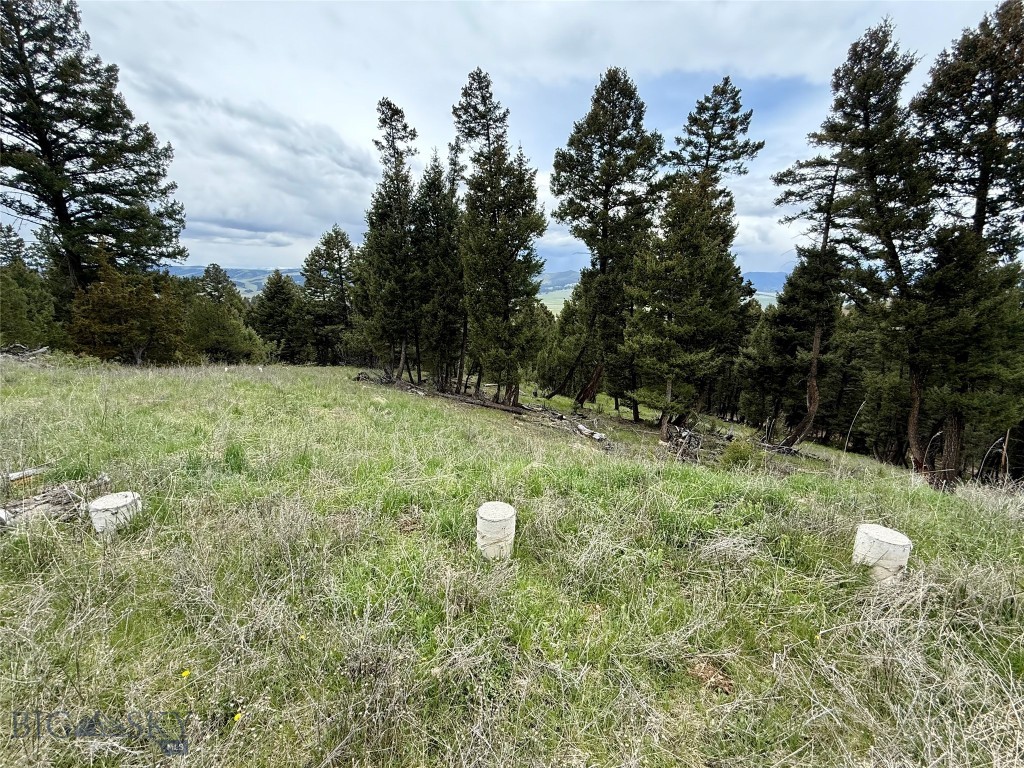 130 Granite Road, Philipsburg MT 59858