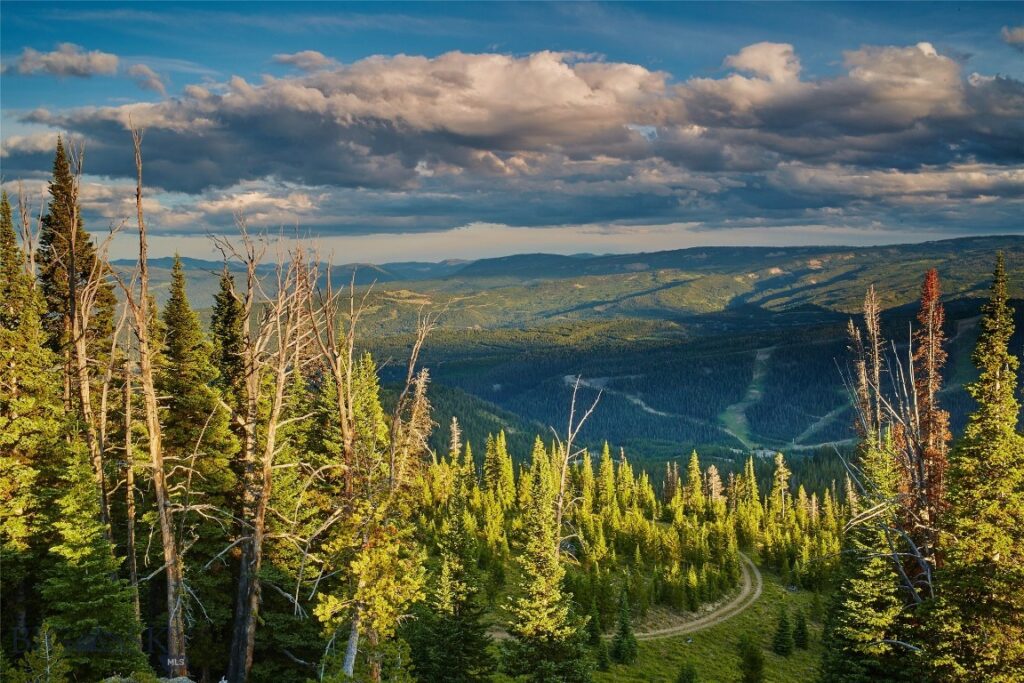 1320 Old Toby Road, Big Sky MT 59716