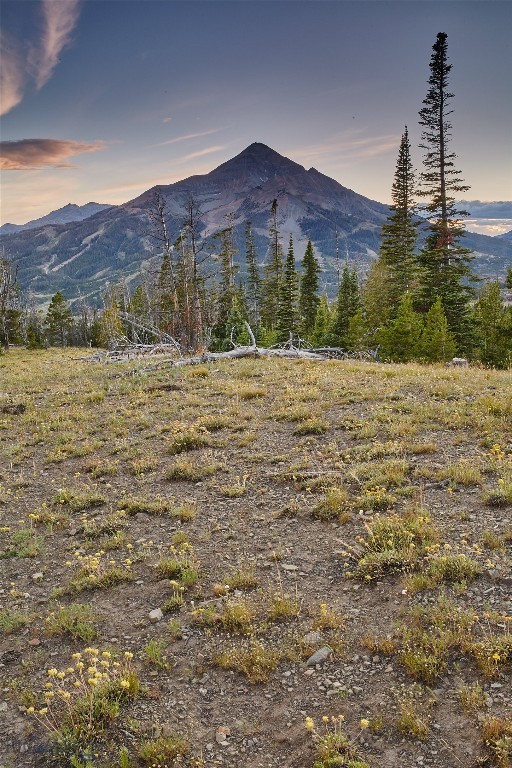 1320 Old Toby Road, Big Sky MT 59716