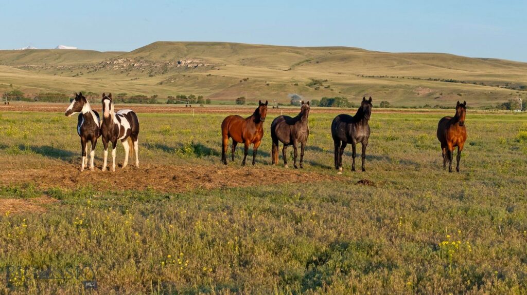 13204 Buffalo Jump Road, Three Forks MT 59752