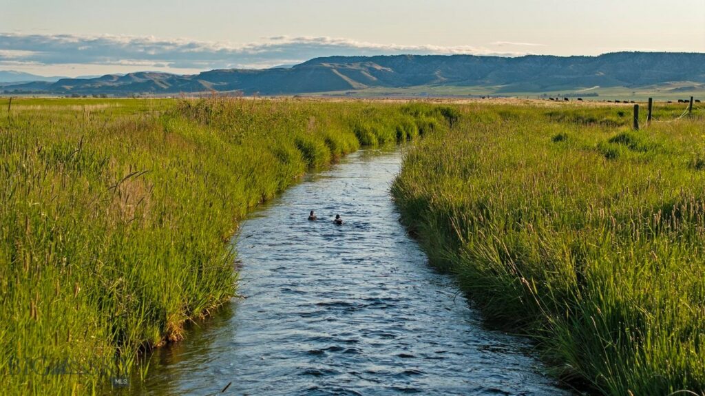 13204 Buffalo Jump Road, Three Forks MT 59752