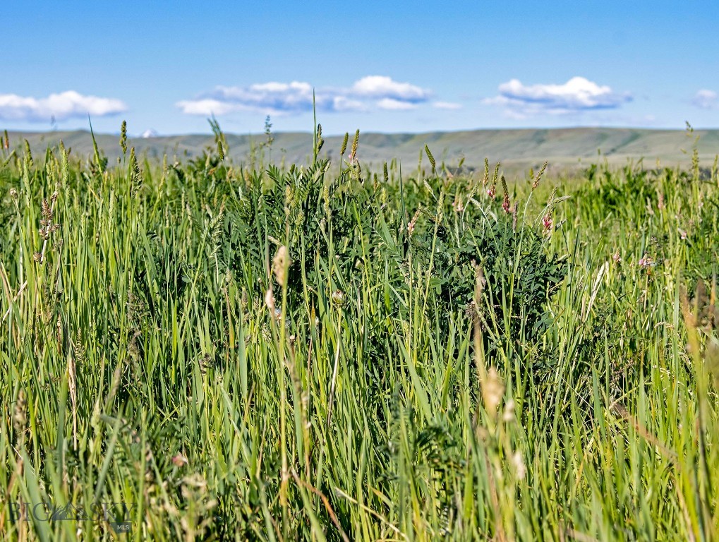 13204 Buffalo Jump Road, Three Forks MT 59752