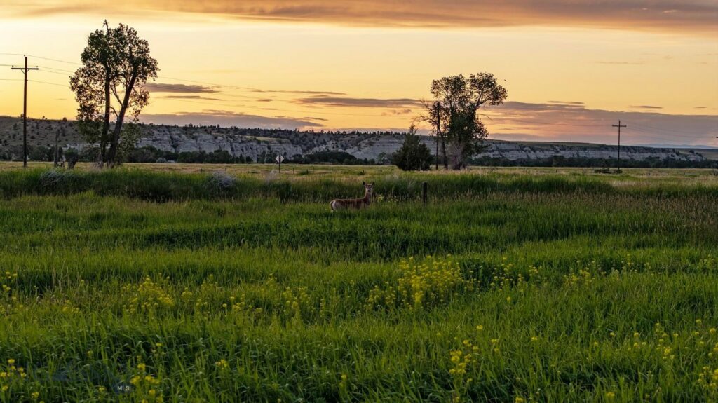 13204 Buffalo Jump Road, Three Forks MT 59752