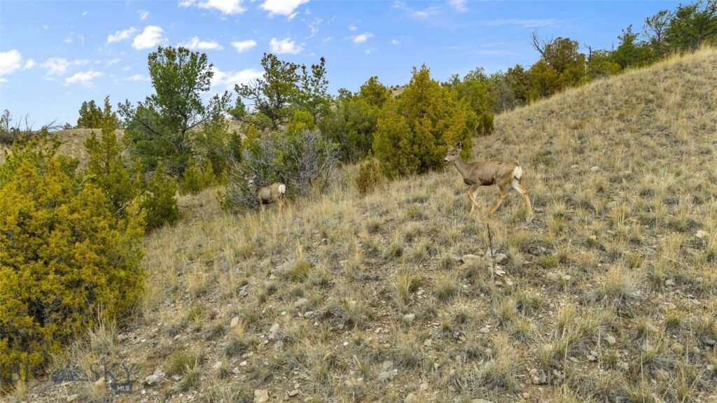 136 Broken Creek, Three Forks MT 59752