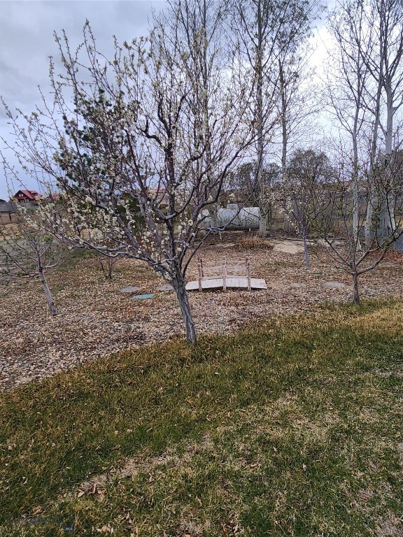 14 Valley View Drive, Twin Bridges MT 59754