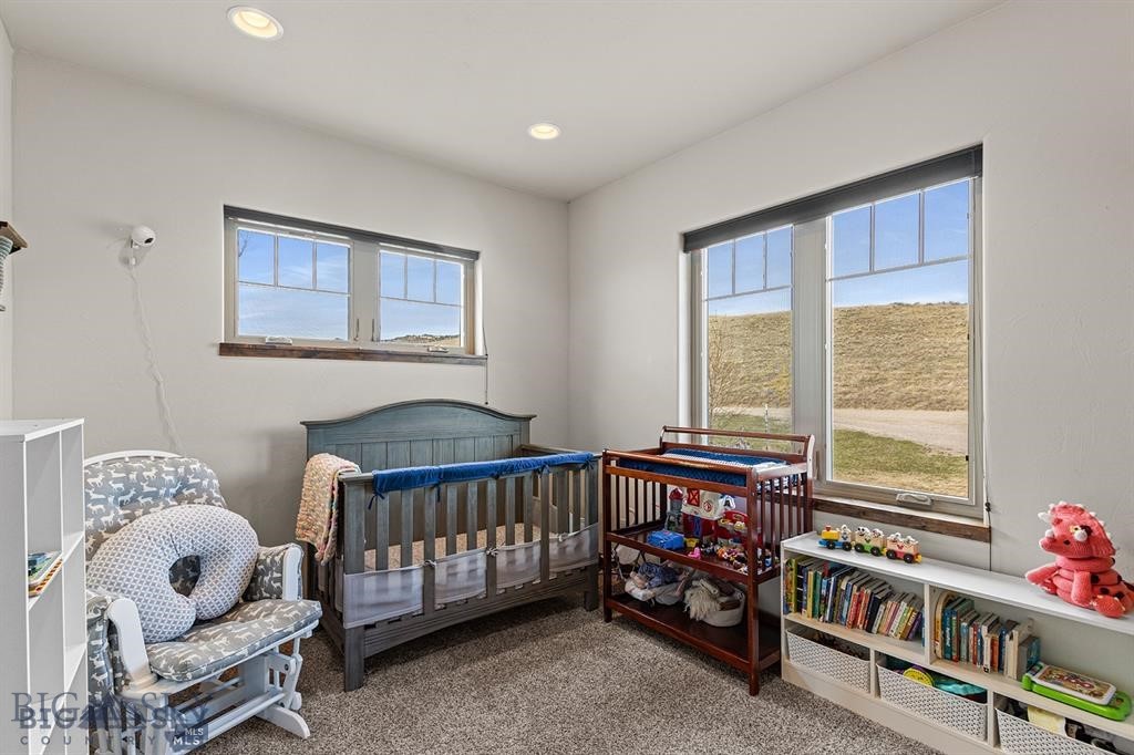 14 Cinnamon Teal Road, Ennis MT 59729