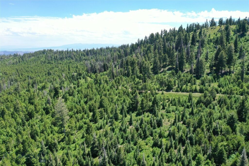 14 Tract, Garnet Range, Drummond MT 59832