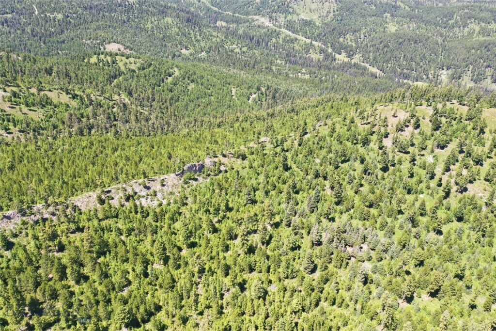 14 Tract, Garnet Range, Drummond MT 59832