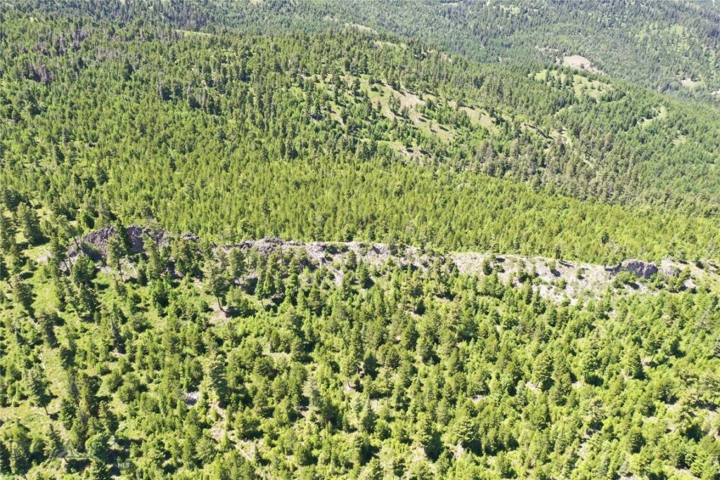 14 Tract, Garnet Range, Drummond MT 59832