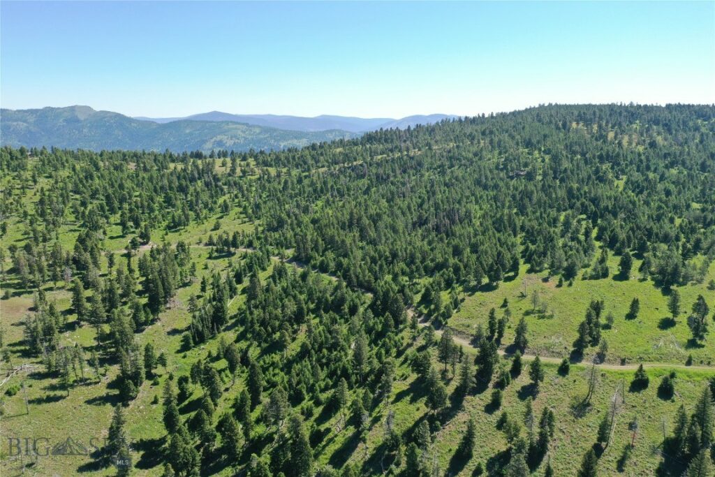 14 Tract, Garnet Range, Drummond MT 59832