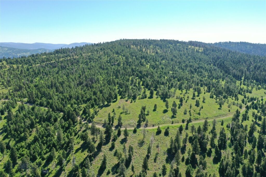 14 Tract, Garnet Range, Drummond MT 59832