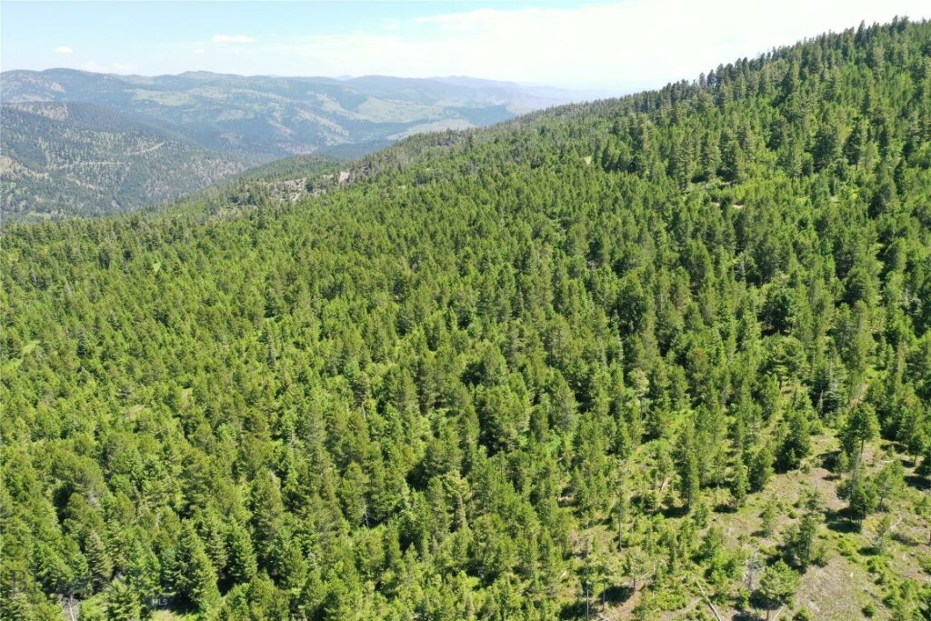 14 Tract, Garnet Range, Drummond MT 59832