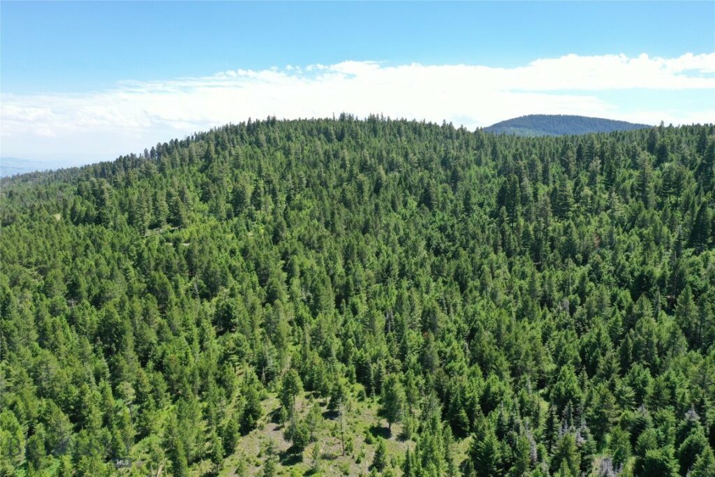 14 Tract, Garnet Range, Drummond MT 59832