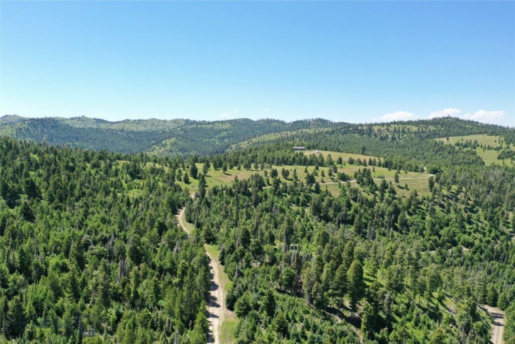 14 Tract, Garnet Range, Drummond MT 59832
