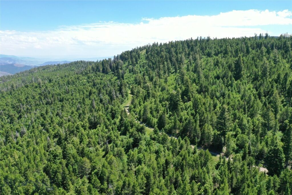 14 Tract, Garnet Range, Drummond MT 59832