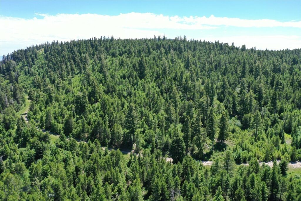 14 Tract, Garnet Range, Drummond MT 59832