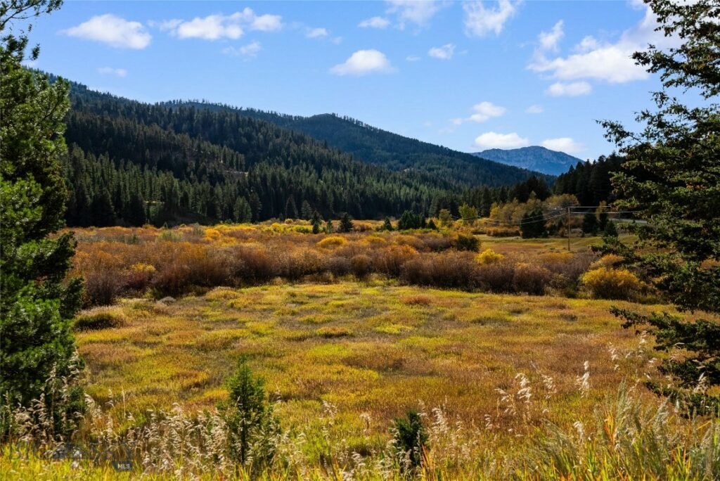 14650 Brackett Creek Road, Bozeman MT 59715