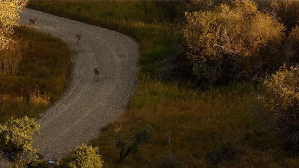 15 Meridian Road, Three Forks MT 59752