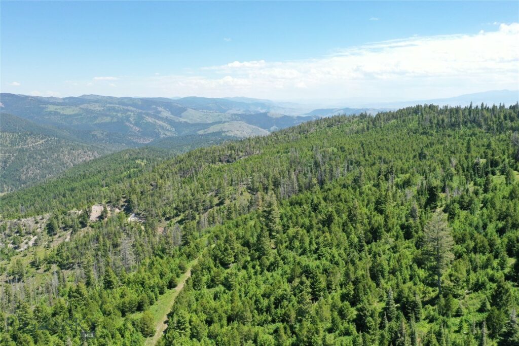 15 Tract, Garnet Range, Drummond MT 59832