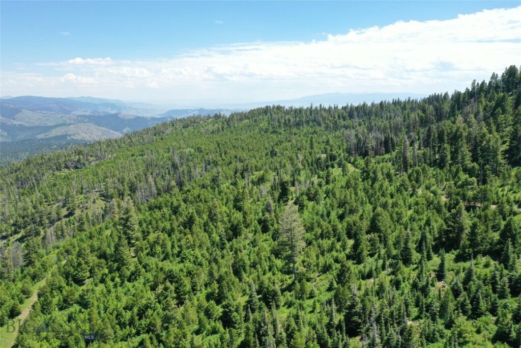 15 Tract, Garnet Range, Drummond MT 59832
