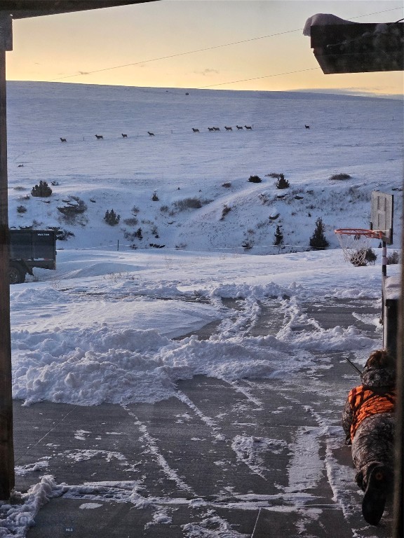 1590 Four Rivers Road, Three Forks MT 59752