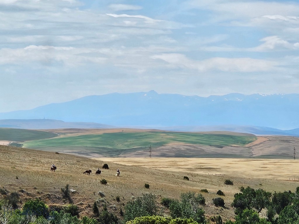 1590 Four Rivers Road, Three Forks MT 59752