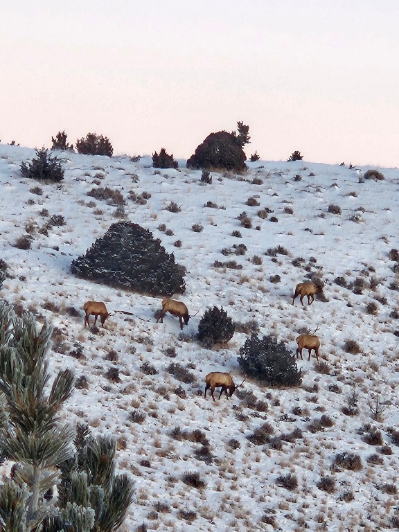 1590 Four Rivers Road, Three Forks MT 59752