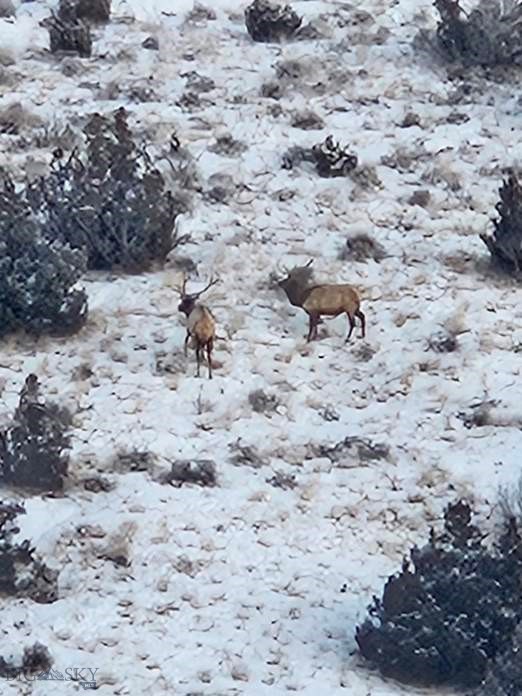 1590 Four Rivers Road, Three Forks MT 59752