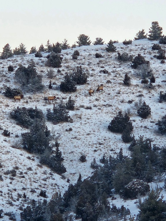 1590 Four Rivers Road, Three Forks MT 59752