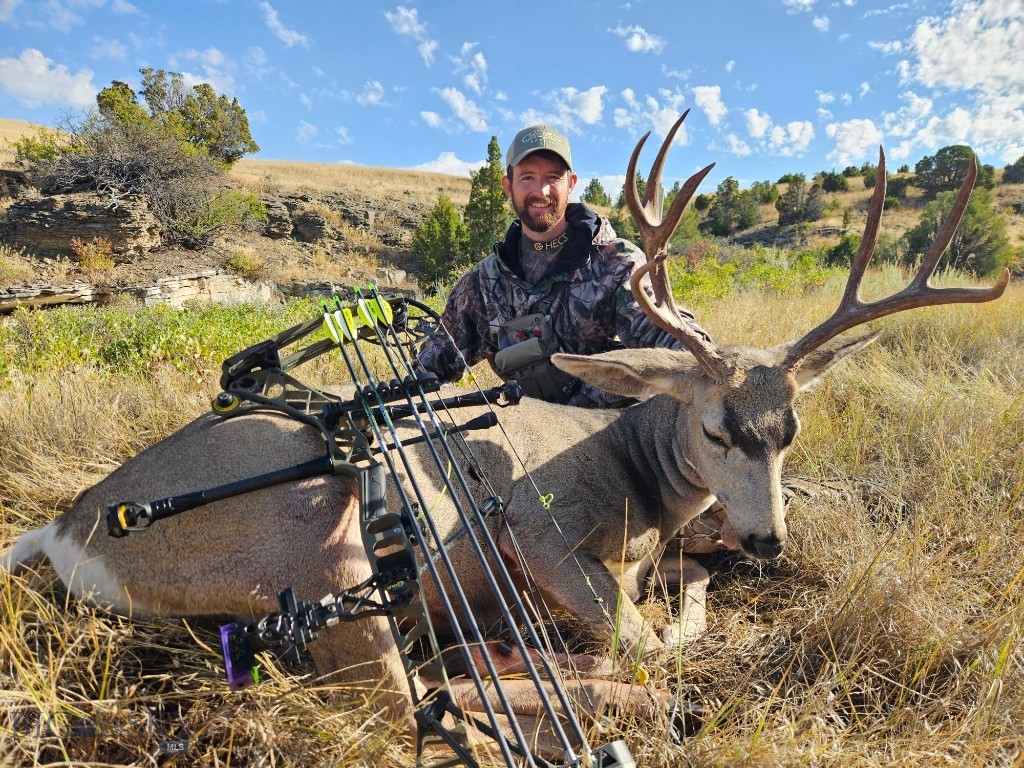 1590 Four Rivers Road, Three Forks MT 59752